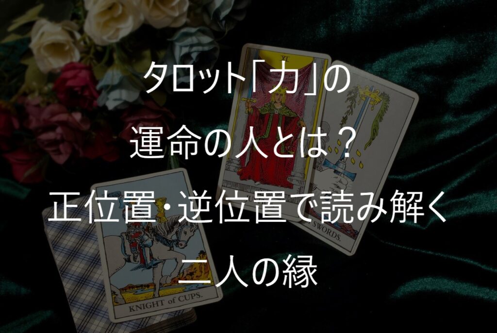 タロット「力」の運命の人とは？正位置・逆位置で読み解く二人の縁